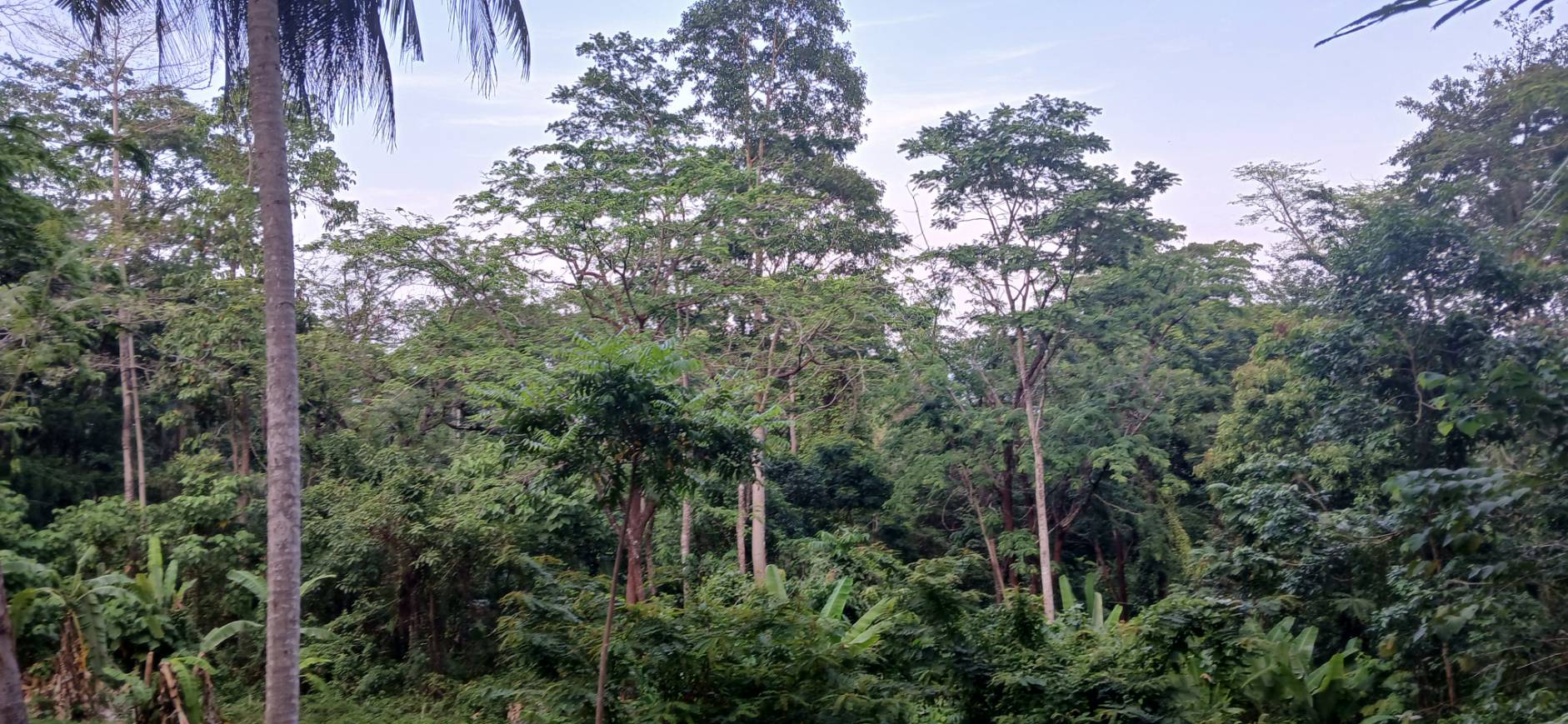 Land — Koh Sileh