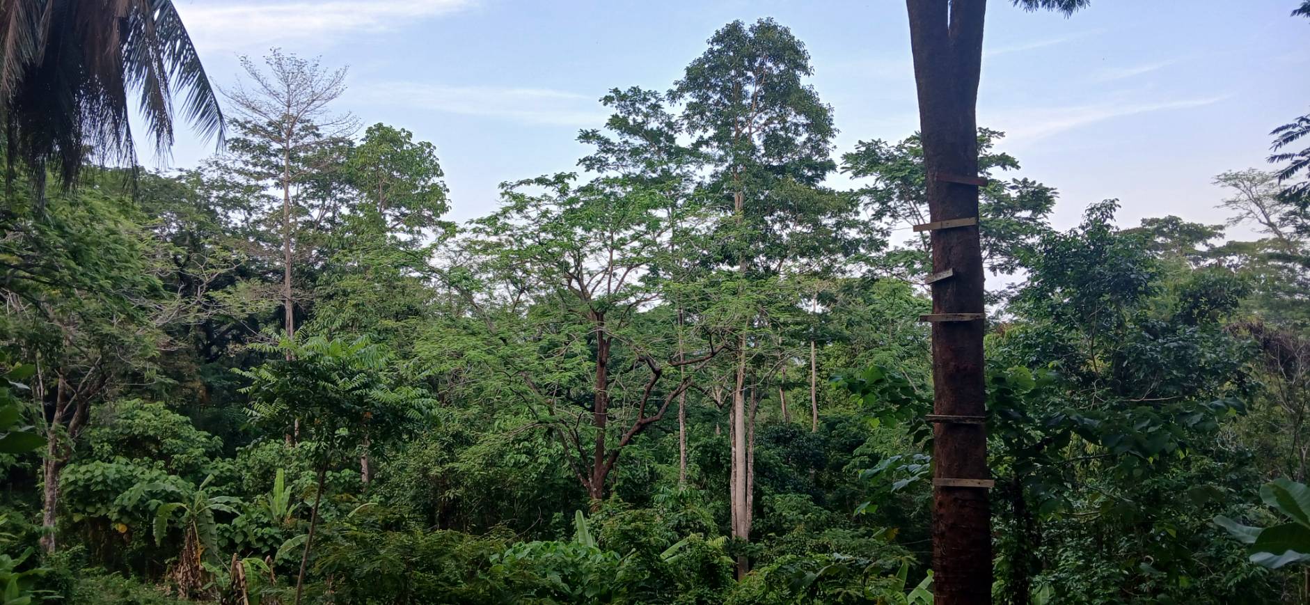 Land — Koh Sileh