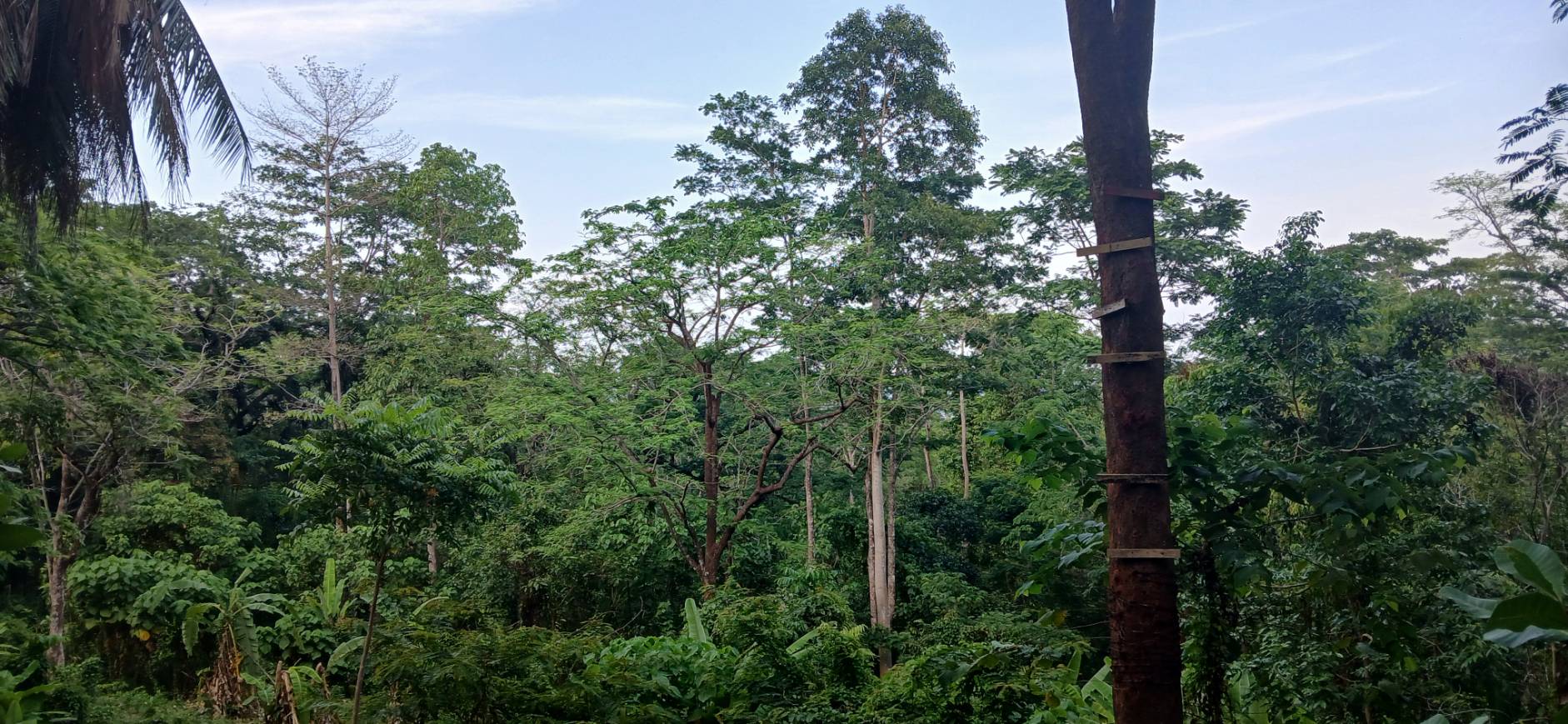 Land — Koh Sileh