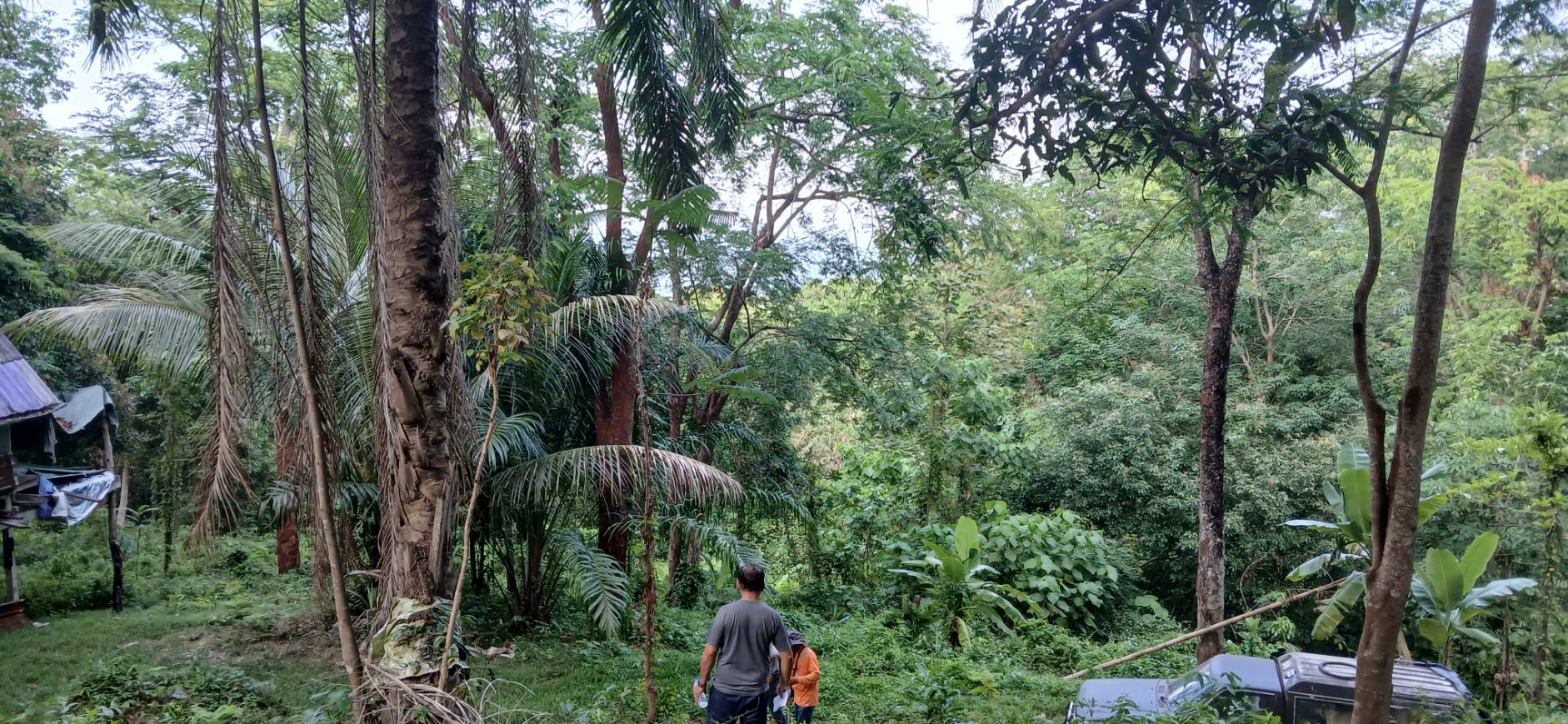 Land — Koh Sileh