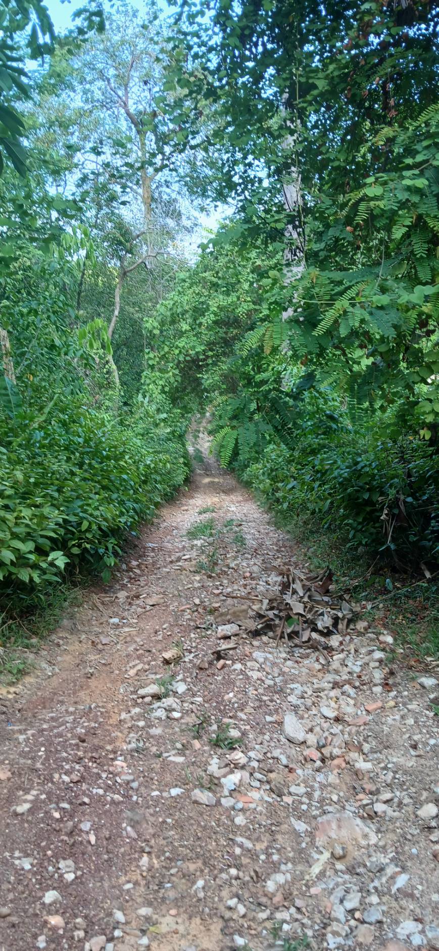 Land — Koh Sileh