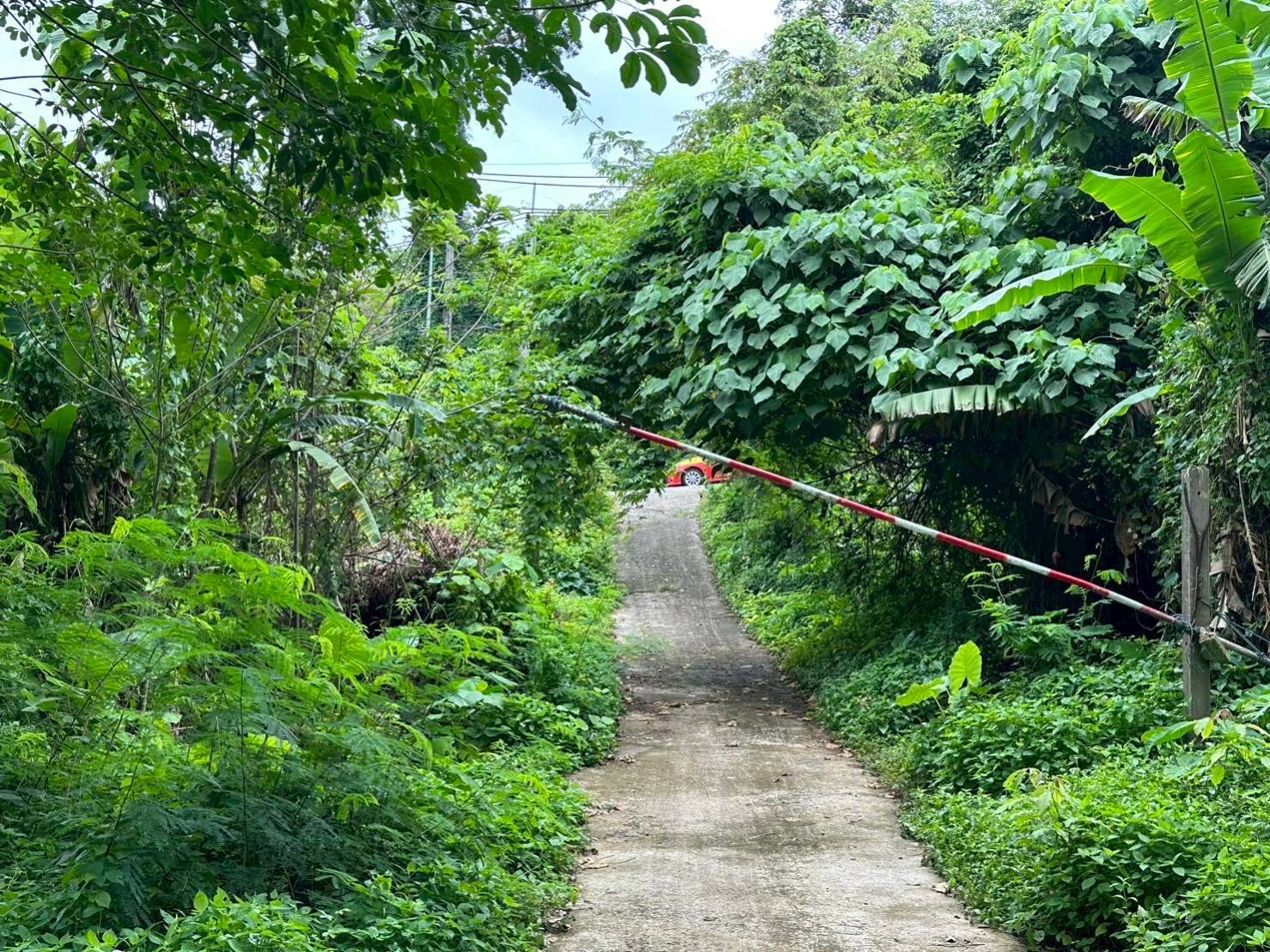 Rawai Land
