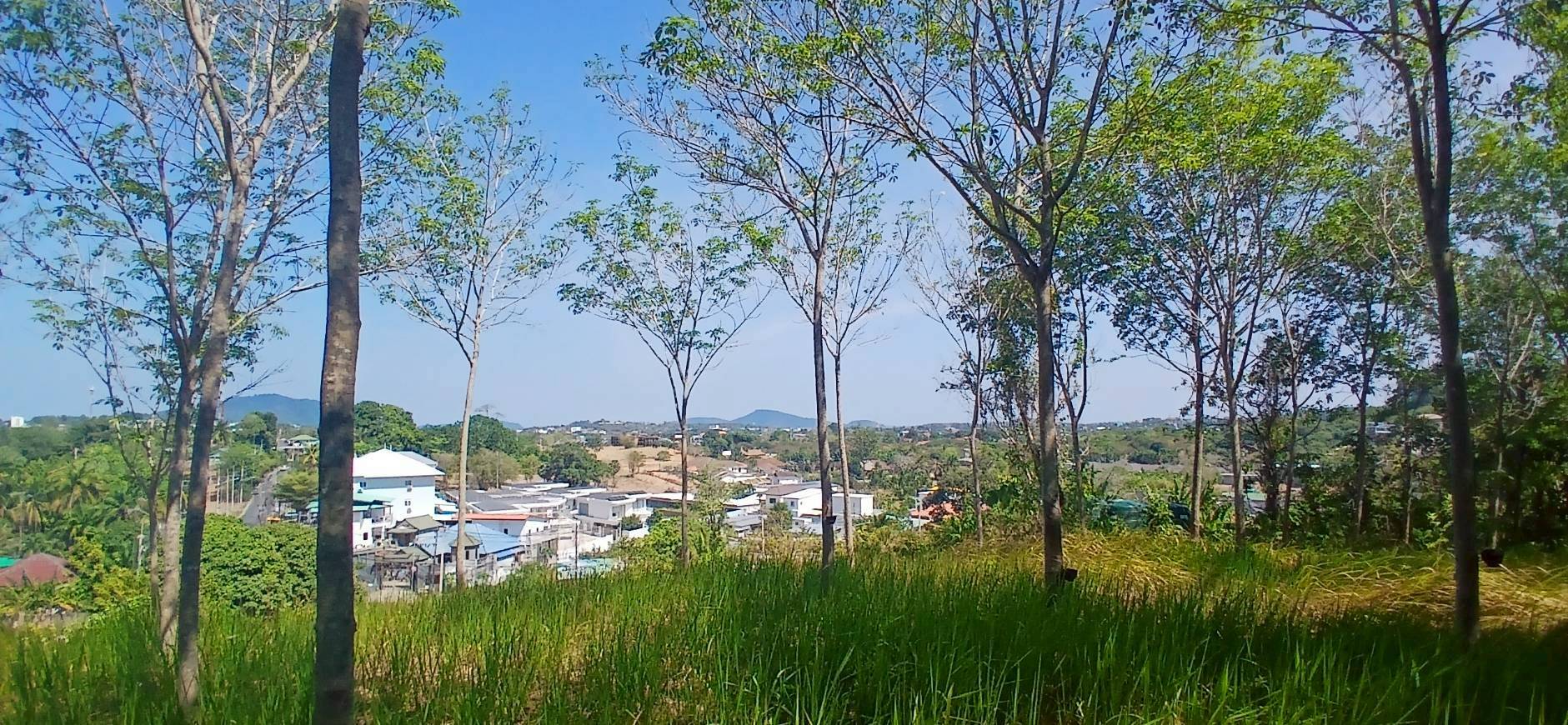 Rawai Land