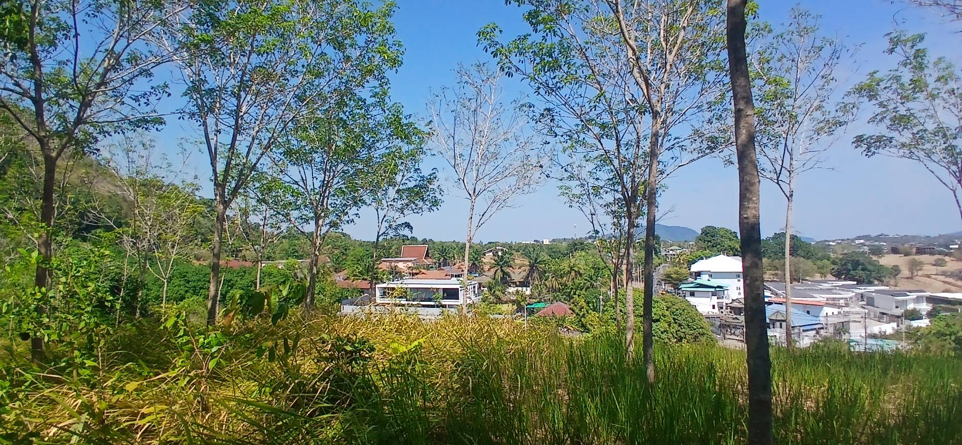 Rawai Land