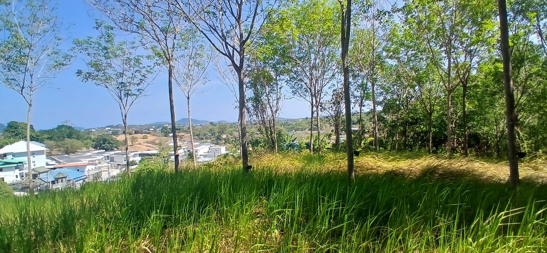 Rawai Land