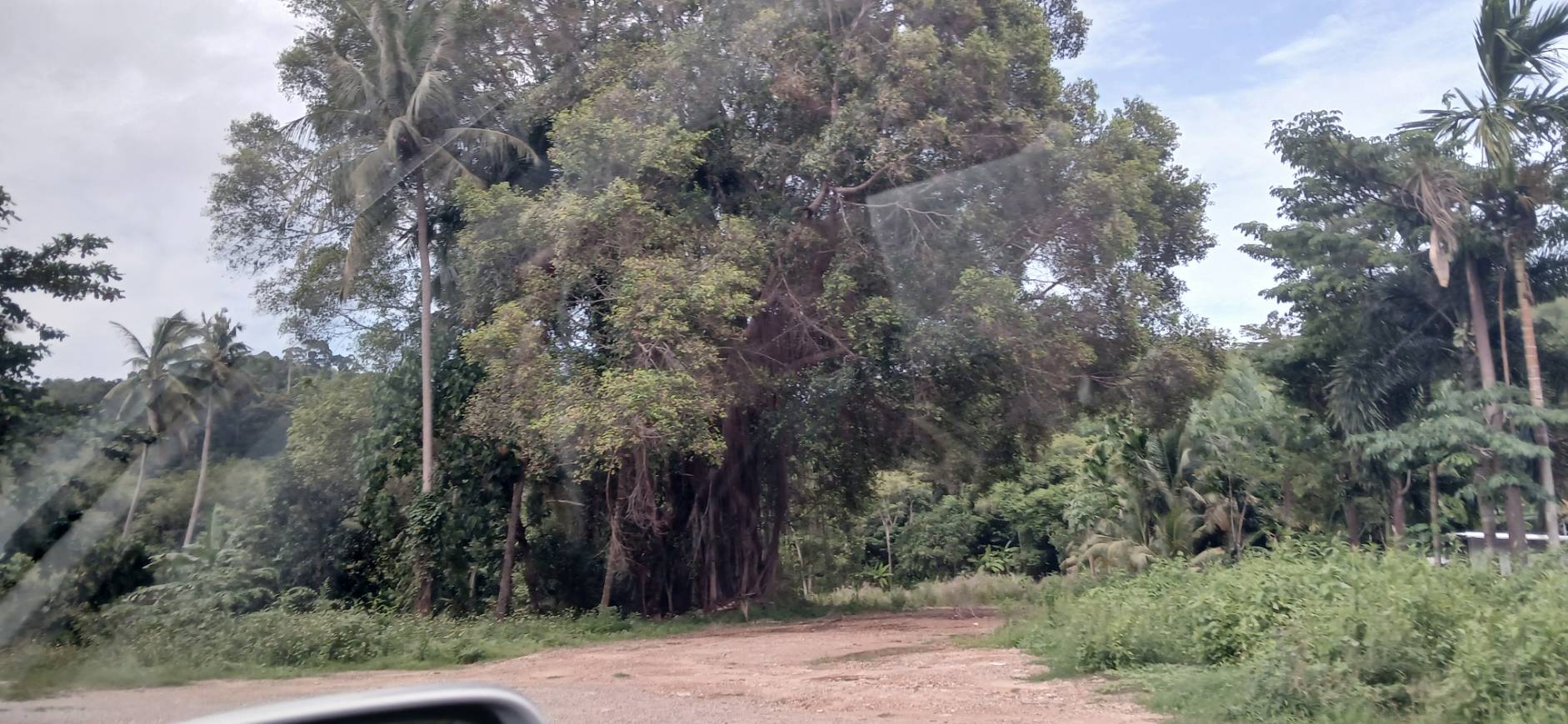 Land Plot — Thalang North