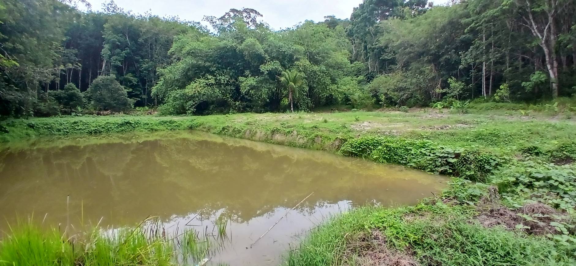 Land Plot — Thalang North