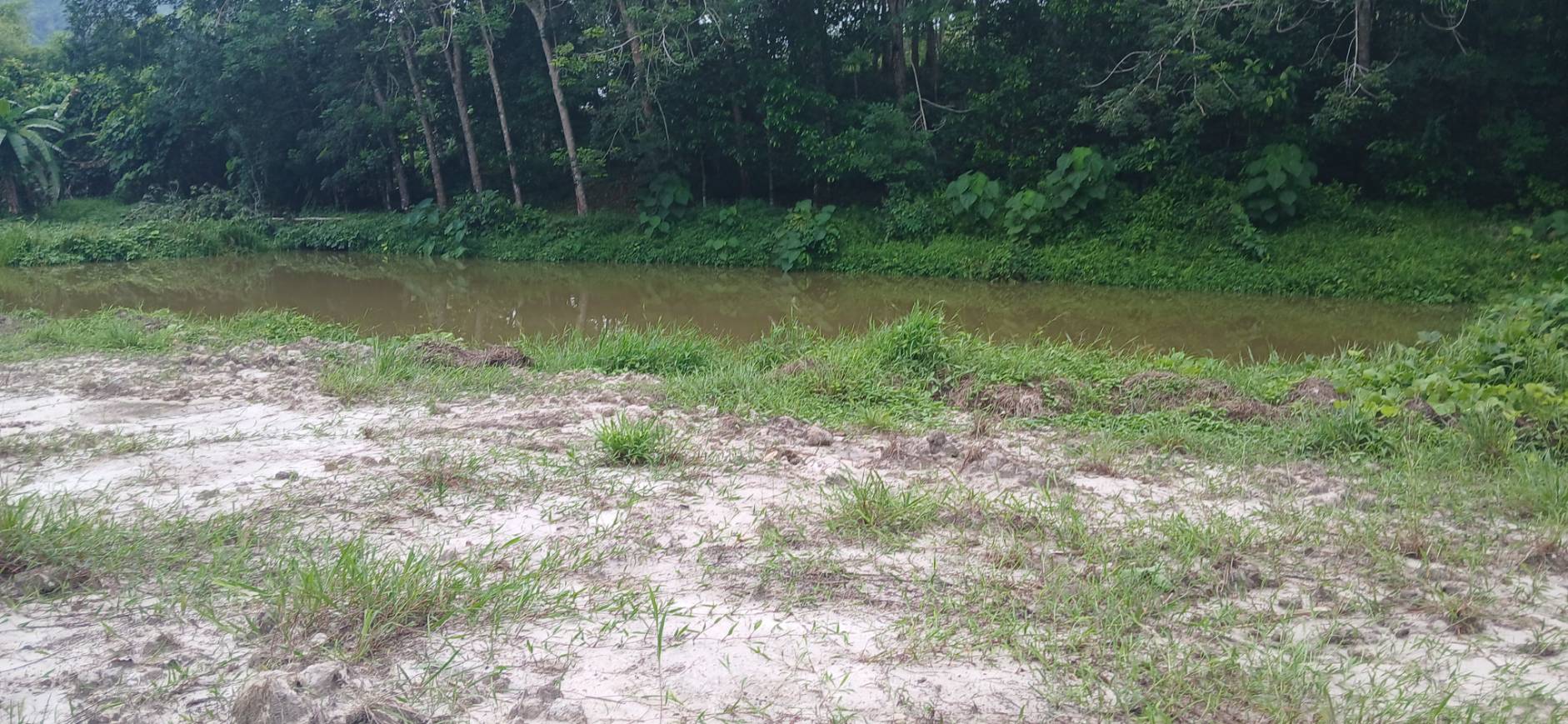 Land Plot — Thalang North