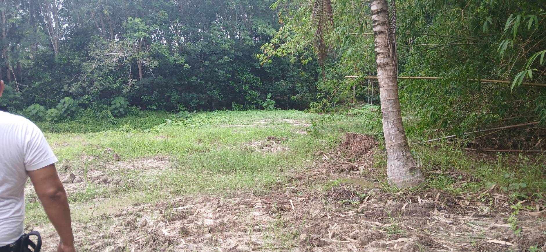 Land Plot — Thalang North