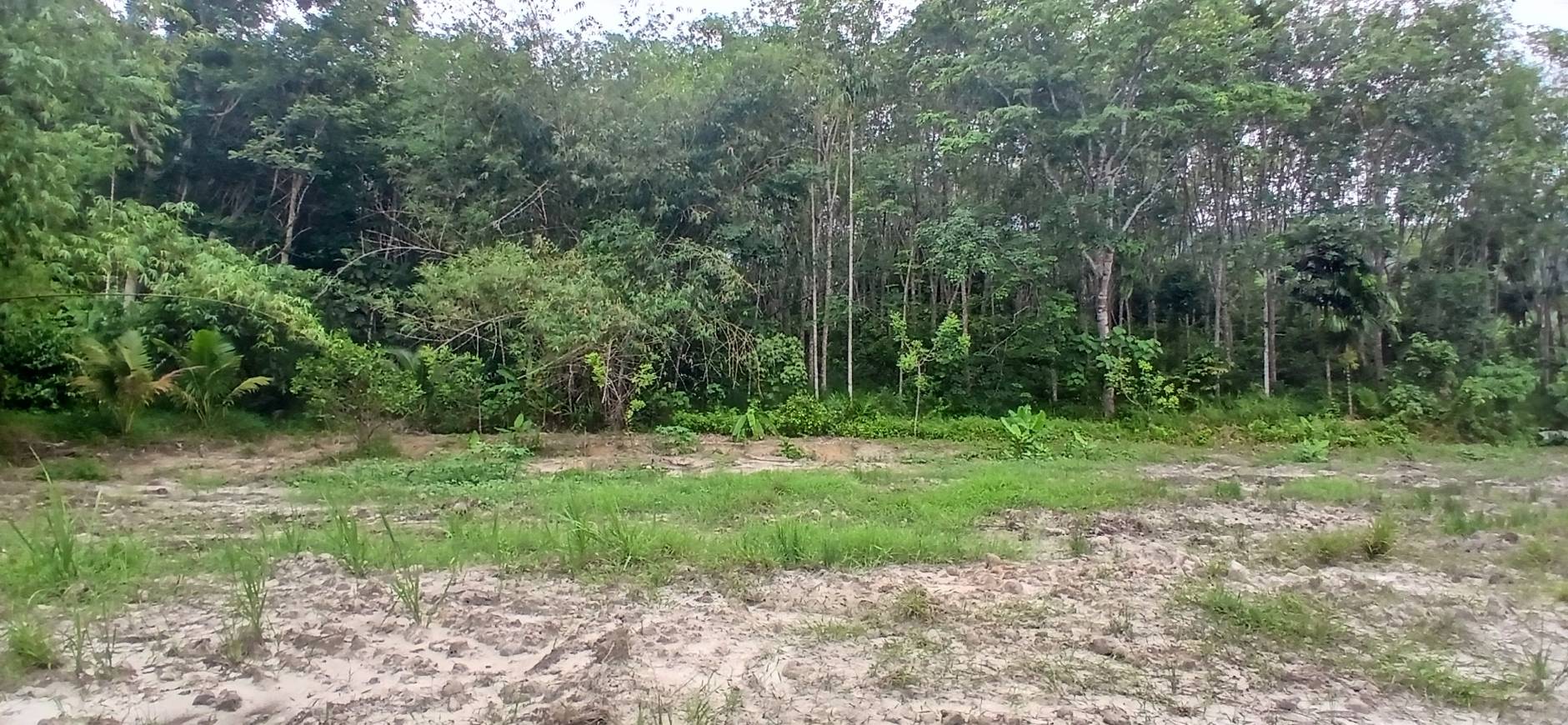 Land Plot — Thalang North
