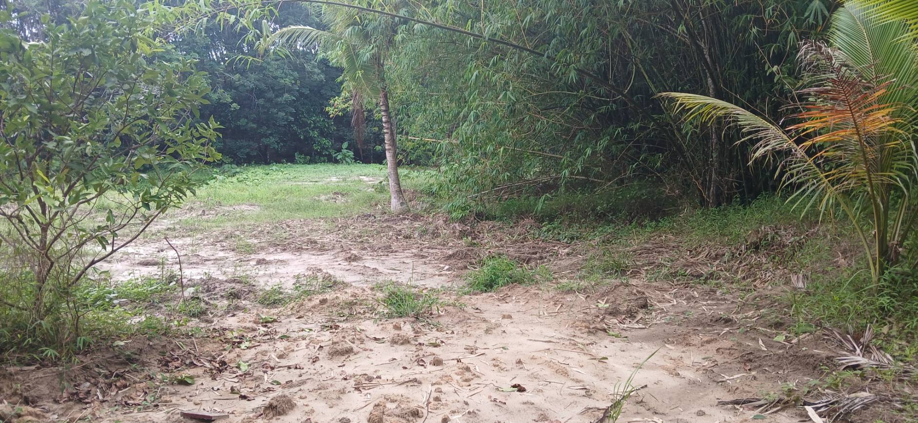 Land Plot — Thalang North